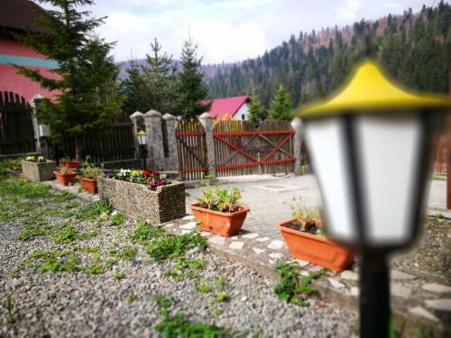 Hostal Vitalis Family