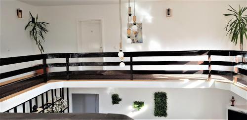 Hostal Fox Valley Villa