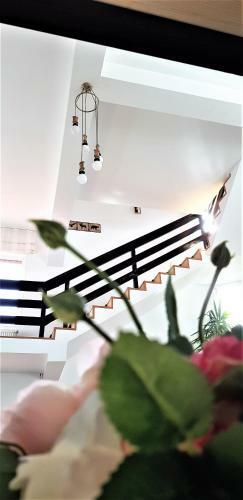 Hostal Fox Valley Villa