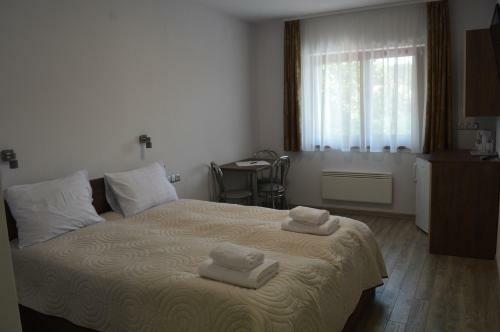 Hostal Cazare 77