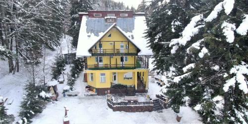 Hostal Vila Trei Brazi