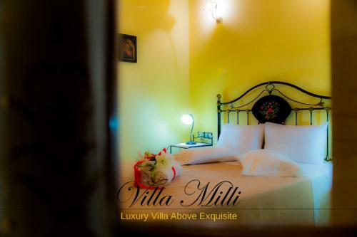 Villa Milli