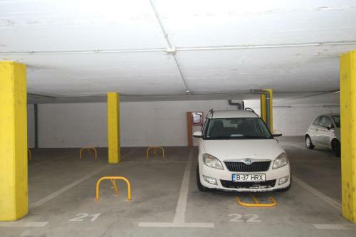 Classic Apartment Timisoara