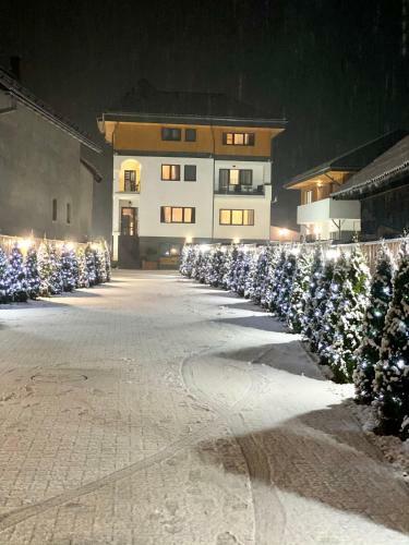 Hostal Pensiunea Maramures Guesthouse