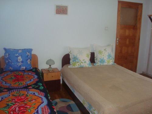 Hostal Pensiunea Nicky
