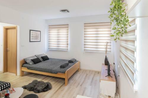 Apartman Iva