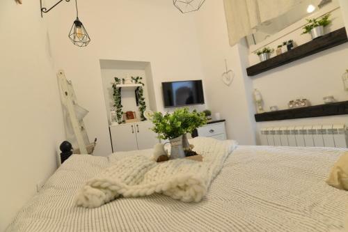 Farmhouse Apartment