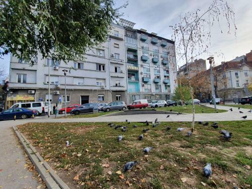 Apartamento Srecko Centar
