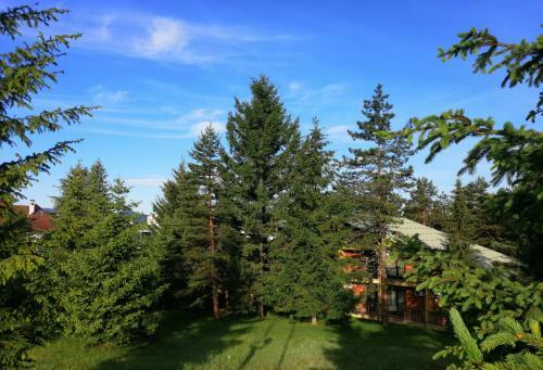 Hotel President Garni