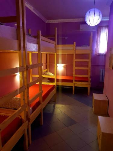Albergue ?????? ???????????