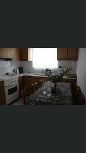 Panorama Apartments