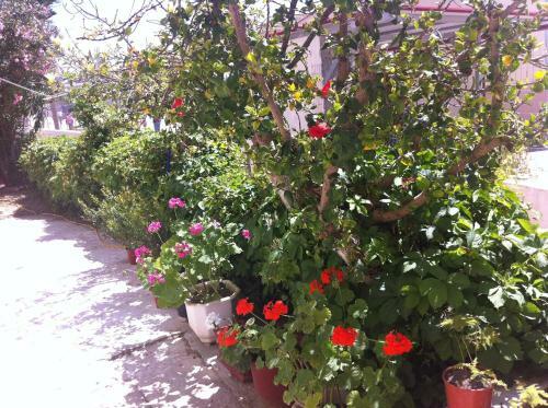 Neapolis Apartments