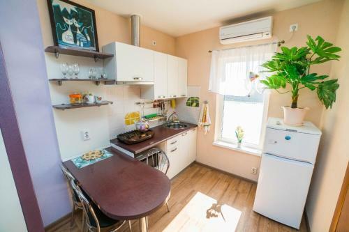 Hostal Svetlana Guest House