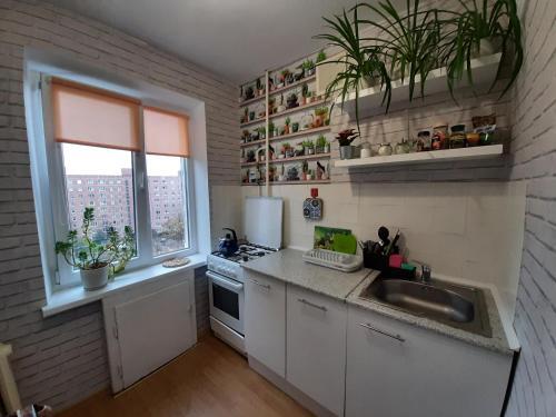 Apartamento ?????????? 86