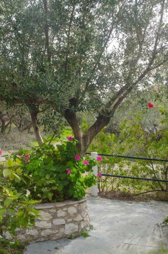 Apartamento Eleftheria Studios