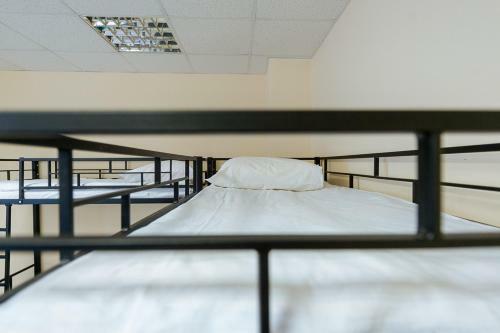 Albergue ?????? ???????