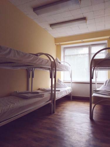 Eco Hostel Sheremetyevo