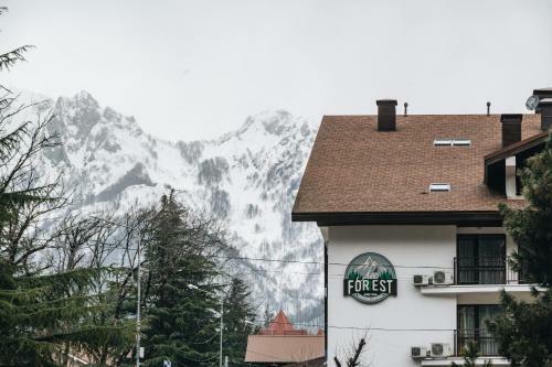 Hotel ???-forest ?????-?????
