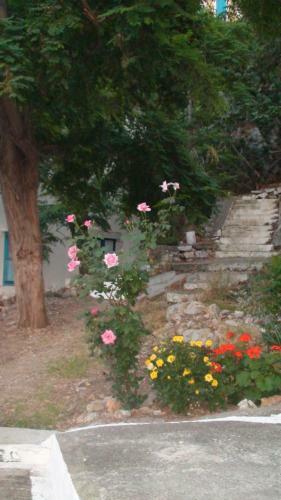 Perivoli Apartment