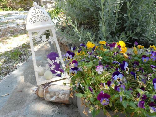 Apartamento Kalypso Studio