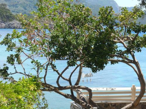 Apartamento Kalypso Studio