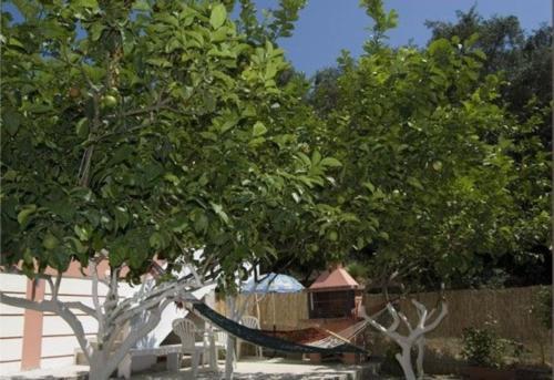 Paraskevi Apartments