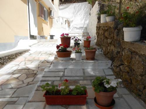 Apartamento Gregory's Studios