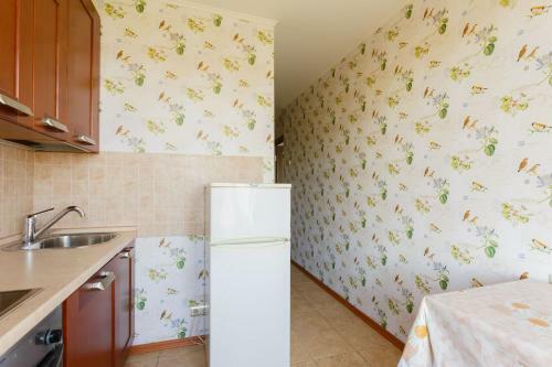 Busines Brusnika Apartment On Nagornaya