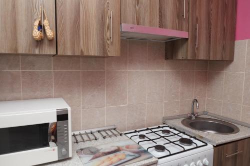 Apartment Krasnaya Presnya
