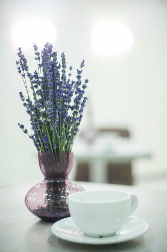 Farfalle Hotel