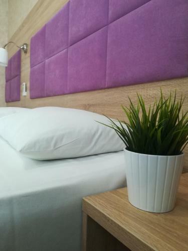 Hotel Amosov