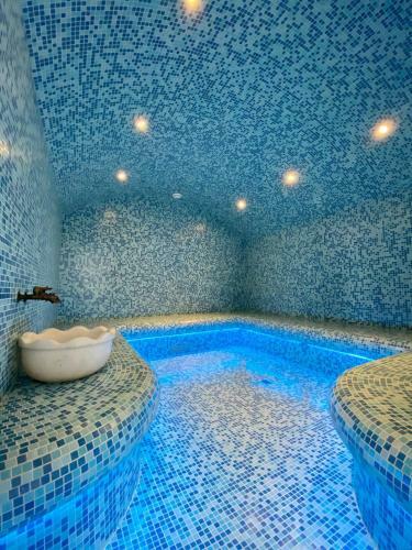 Max Spa Hotel