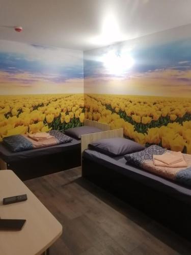 Hotel ?????? ???
