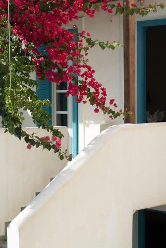 Villa Andros Maisonettes