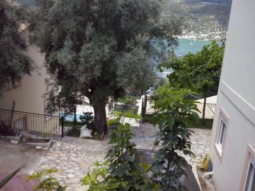 Apartamento Armonia