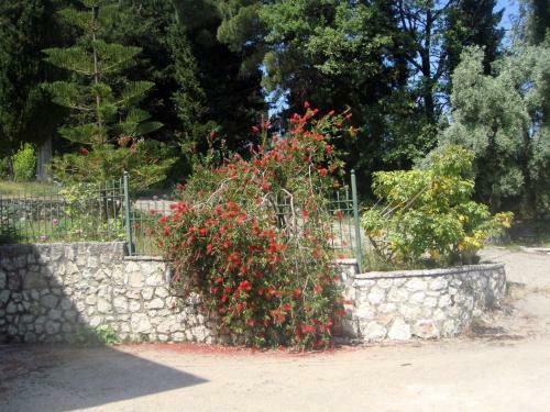 Apartamento Villa Evgenia Lefkada