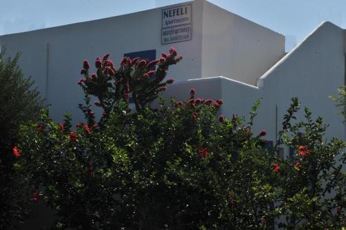 Nefeli Apartments
