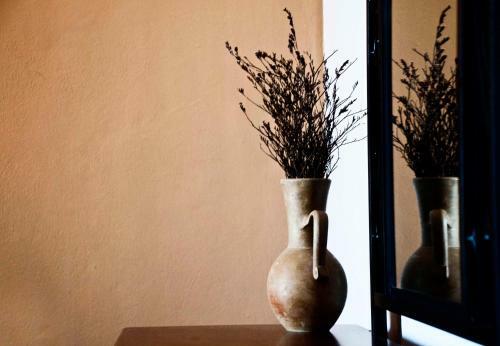 Apartamento The Farm