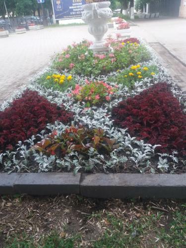Pl/lenina