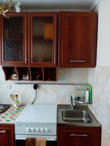 Apartment In Sheregesh