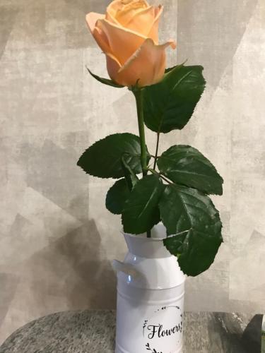 Apartamento Riviera Konstial`