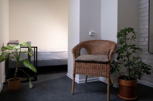 Plants & Friends Hostel