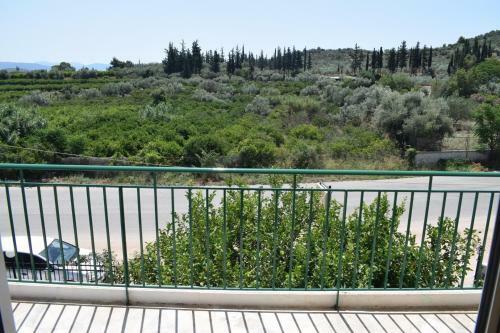 Apartments Rania
