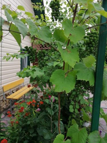 Hostal Guest House U Iriny