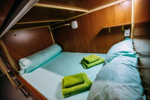 Albergue Kapsula Vremeni ?apsule Hotel