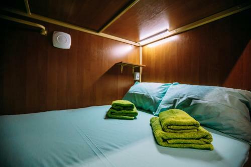 Albergue Kapsula Vremeni ?apsule Hotel