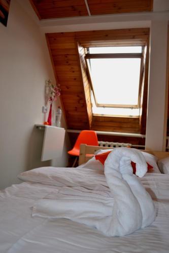 Albergue ??????