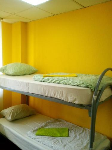 Albergue ?????? ??????