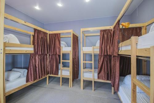 Albergue ?????? ?????