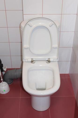 Albergue ????? ???